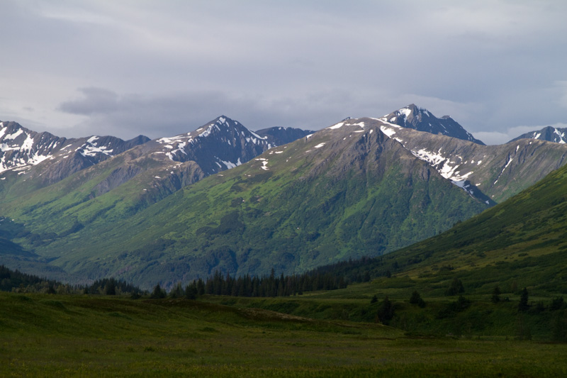 The Kenai Mountains